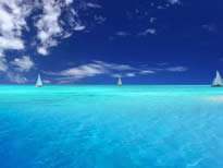 w66.利来(中国区)_来利国际旗舰厅