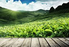 w66.利来(中国区)_来利国际旗舰厅